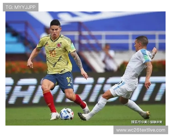 2026世界杯预选赛南美区关键比赛回顾与精彩瞬间集锦