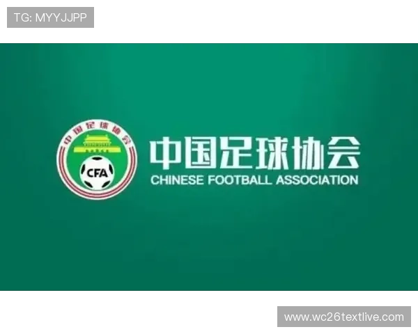 中国未申办世界杯是否与国际足球组织的政策偏向有关探讨
