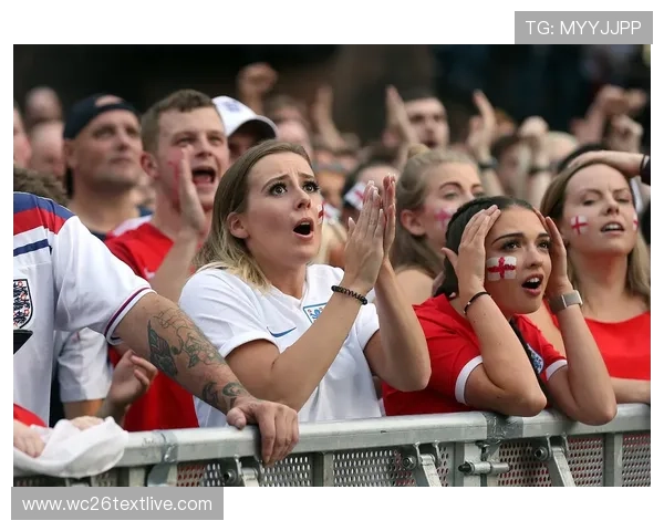 卡塔尔世界杯球迷文化解析，不同国家球迷的独特表现与互动方式