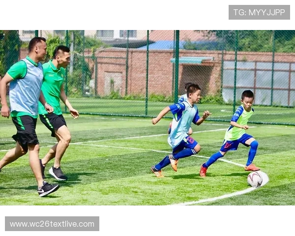 中国足球进入世界杯对青少年足球教育和普及的促进作用