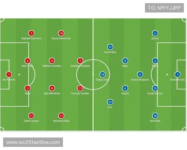 南非世界杯冠军球队的战术布局与比赛亮点解析