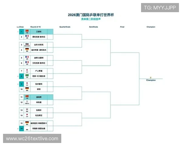 2026年世界杯分组图最新更新，完整赛程与分组情况一览