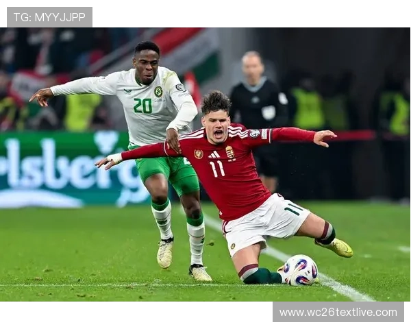 2026年世界杯欧洲区积分榜实时更新，详细数据分析助力足球迷了解最新动态