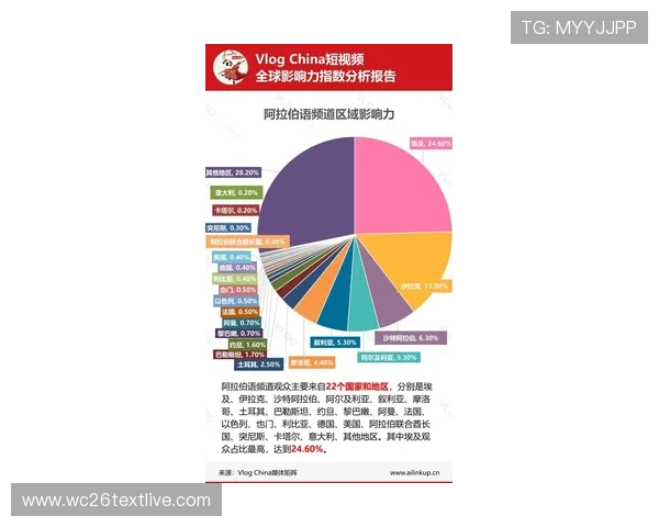 2026年世界杯埃及VS伊朗比赛控球率数据详解及影响因素分析